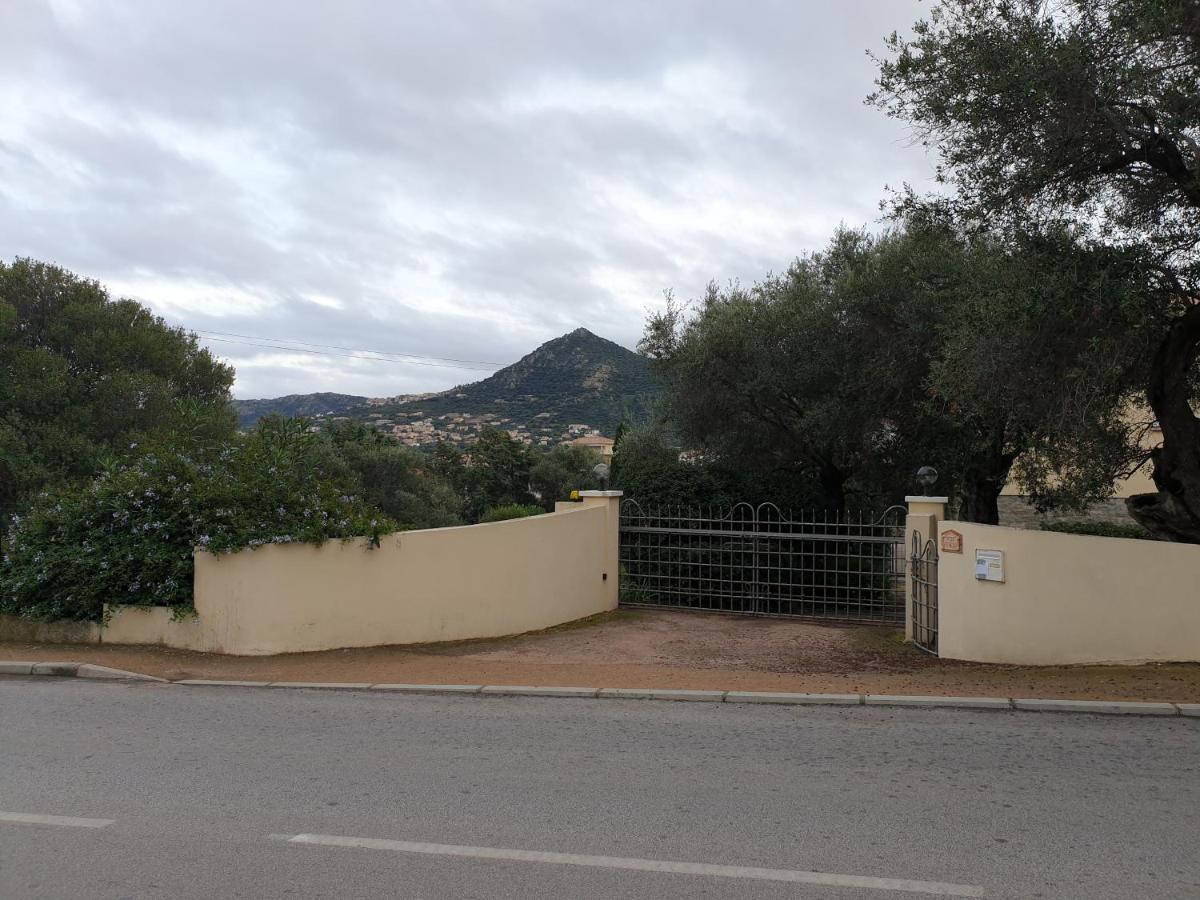 Villa Athena LʼÎle-Rousse Extérieur photo